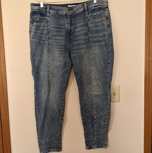 Lane Bryant | Paneled Vintage Skinny Jeans